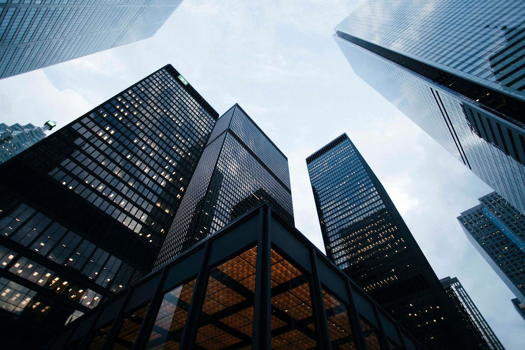 Professional business building
